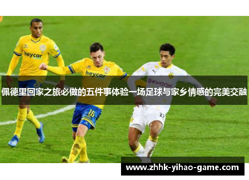佩德里回家之旅必做的五件事体验一场足球与家乡情感的完美交融