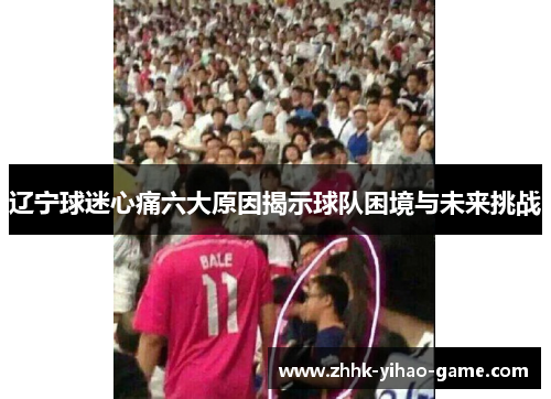 辽宁球迷心痛六大原因揭示球队困境与未来挑战