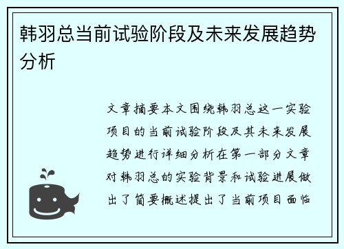 韩羽总当前试验阶段及未来发展趋势分析